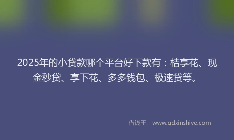 2025年的小贷款哪个平台好下款有：桔享花、现金秒贷、享下花、多多钱包、极速贷等。