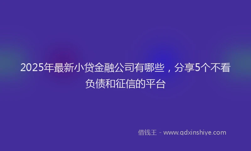 2025年最新小贷金融公司有哪些，分享5个不看负债和征信的平台