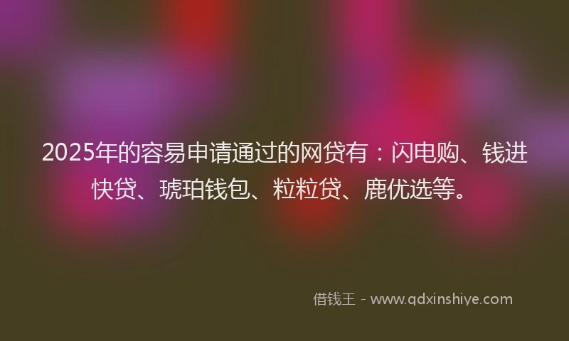 2025年的容易申请通过的网贷有：闪电购、钱进快贷、琥珀钱包、粒粒贷、鹿优选等。