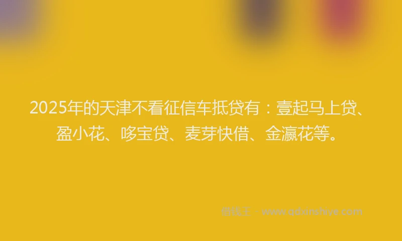 2025年的天津不看征信车抵贷有：壹起马上贷、盈小花、哆宝贷、麦芽快借、金瀛花等。