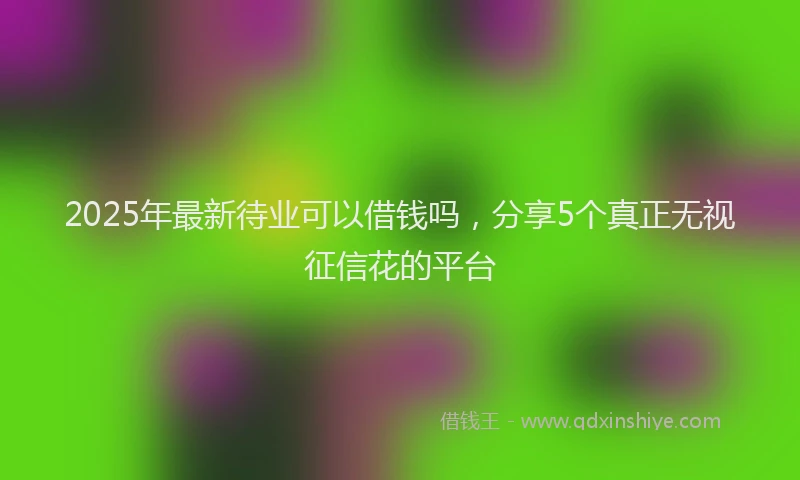 2025年最新待业可以借钱吗，分享5个真正无视征信花的平台