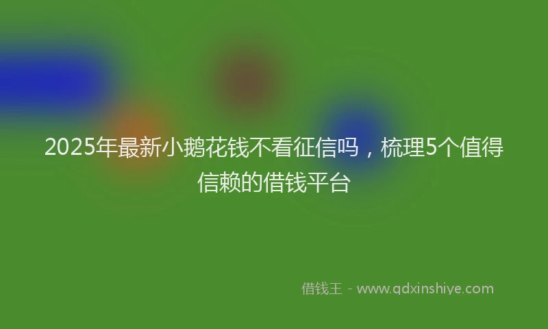 2025年最新小鹅花钱不看征信吗，梳理5个值得信赖的借钱平台