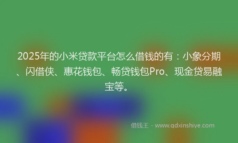 2025年的小米贷款平台怎么借钱的有：小象分期、闪借侠、惠花钱包、畅贷钱包Pro、现金贷易融宝等。