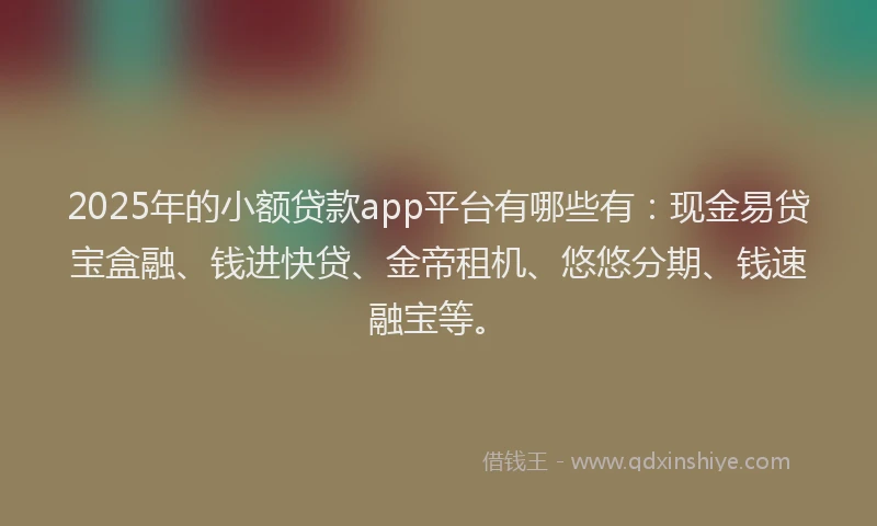 2025年的小额贷款app平台有哪些有：现金易贷宝盒融、钱进快贷、金帝租机、悠悠分期、钱速融宝等。