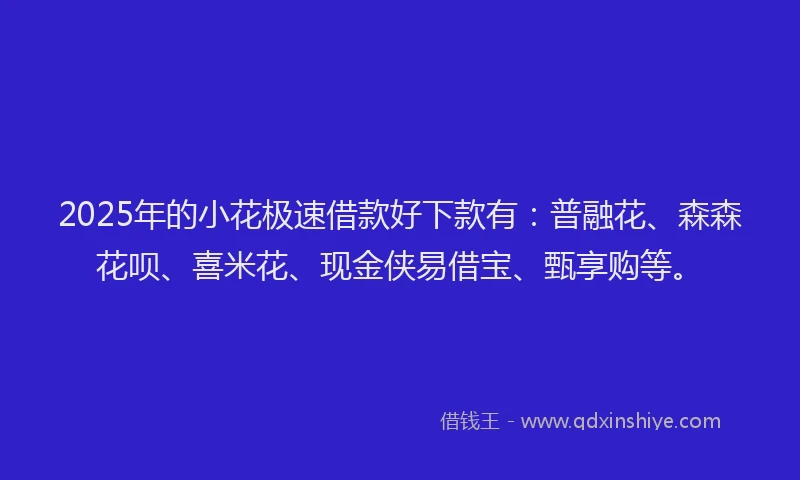 2025年的小花极速借款好下款有：普融花、森森花呗、喜米花、现金侠易借宝、甄享购等。