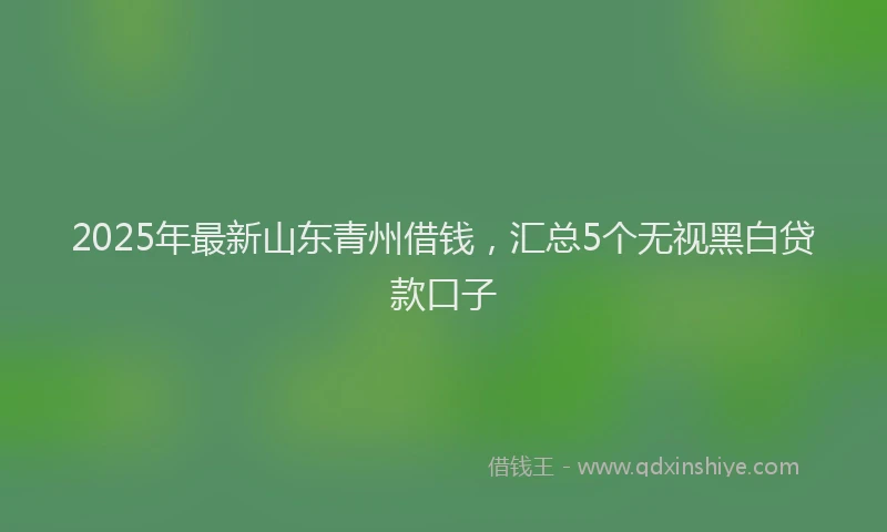 2025年最新山东青州借钱，汇总5个无视黑白贷款口子