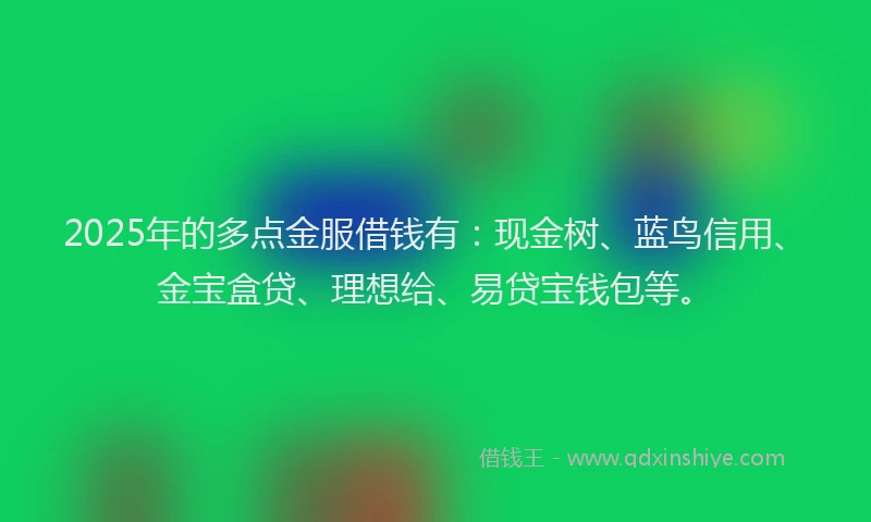 2025年的多点金服借钱有：现金树、蓝鸟信用、金宝盒贷、理想给、易贷宝钱包等。
