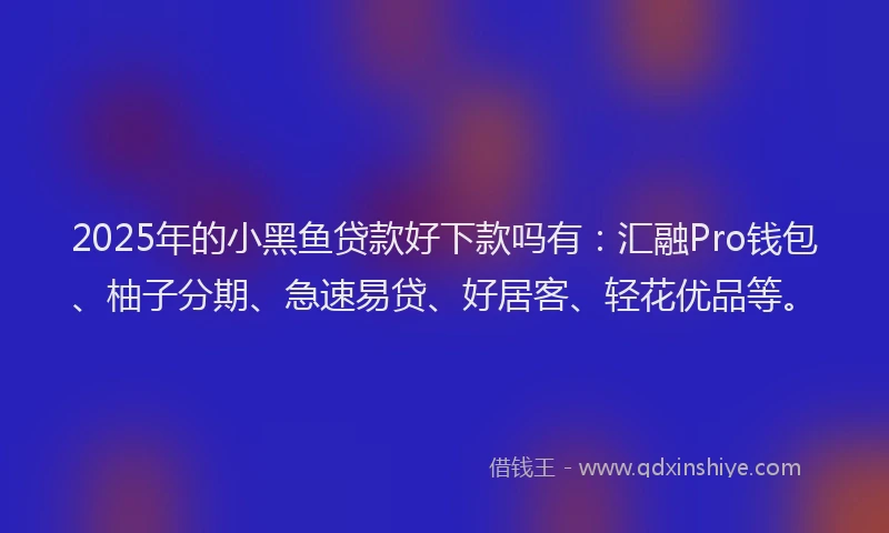2025年的小黑鱼贷款好下款吗有：汇融Pro钱包、柚子分期、急速易贷、好居客、轻花优品等。