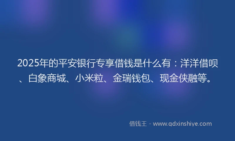 2025年的平安银行专享借钱是什么有：洋洋借呗、白象商城、小米粒、金瑞钱包、现金侠融等。