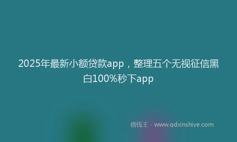 2025年最新小额贷款app，整理五个无视征信黑白100%秒下app