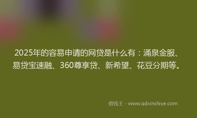 2025年的容易申请的网贷是什么有：涌泉金服、易贷宝速融、360尊享贷、新希望、花豆分期等。