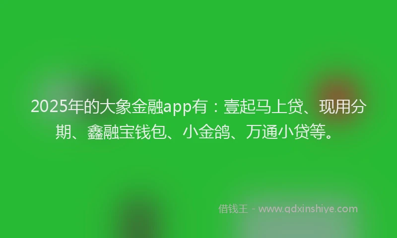 2025年的大象金融app有：壹起马上贷、现用分期、鑫融宝钱包、小金鸽、万通小贷等。