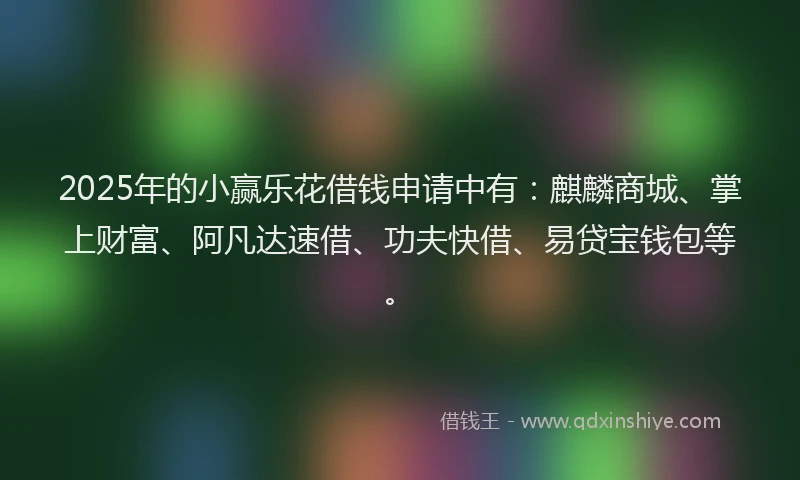 2025年的小赢乐花借钱申请中有：麒麟商城、掌上财富、阿凡达速借、功夫快借、易贷宝钱包等。