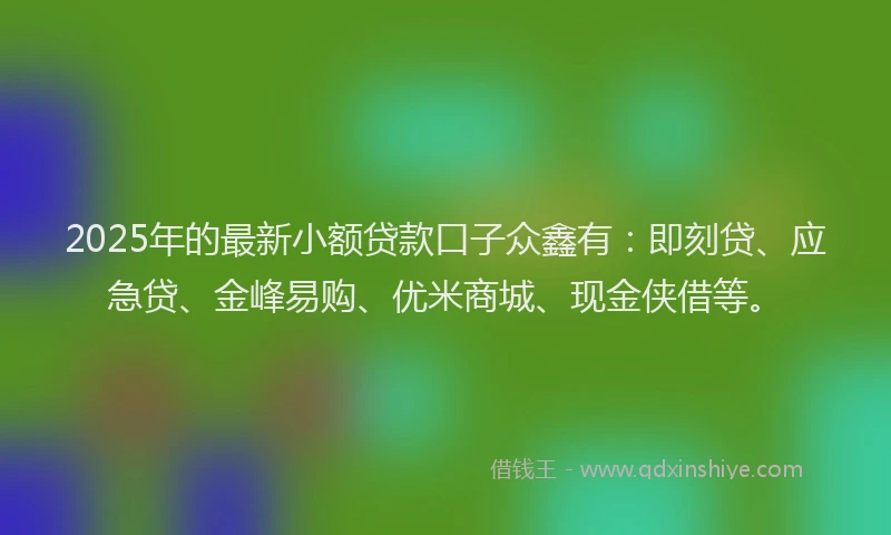 2025年的最新小额贷款口子众鑫有：即刻贷、应急贷、金峰易购、优米商城、现金侠借等。