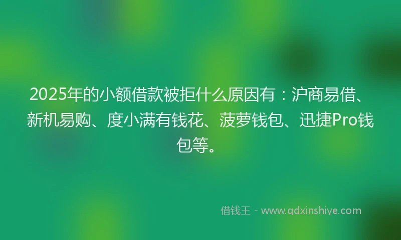 2025年的小额借款被拒什么原因有：沪商易借、新机易购、度小满有钱花、菠萝钱包、迅捷Pro钱包等。