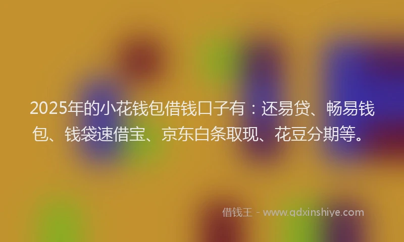 2025年的小花钱包借钱口子有：还易贷、畅易钱包、钱袋速借宝、京东白条取现、花豆分期等。