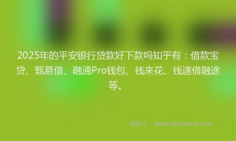 2025年的平安银行贷款好下款吗知乎有：借款宝贷、甄易借、融通Pro钱包、钱来花、钱速借融途等。