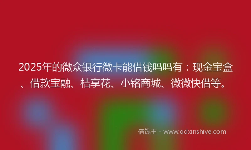 2025年的微众银行微卡能借钱吗吗有：现金宝盒、借款宝融、桔享花、小铭商城、微微快借等。