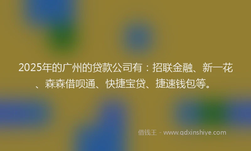 2025年的广州的贷款公司有：招联金融、新一花、森森借呗通、快捷宝贷、捷速钱包等。