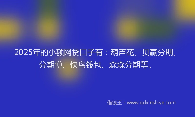 2025年的小额网贷口子有：葫芦花、贝赢分期、分期悦、快鸟钱包、森森分期等。