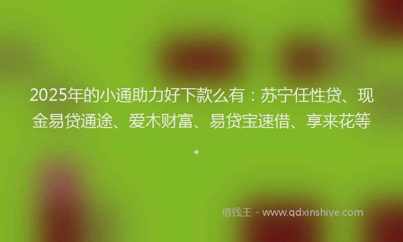 2025年的小通助力好下款么有：苏宁任性贷、现金易贷通途、爱木财富、易贷宝速借、享来花等。