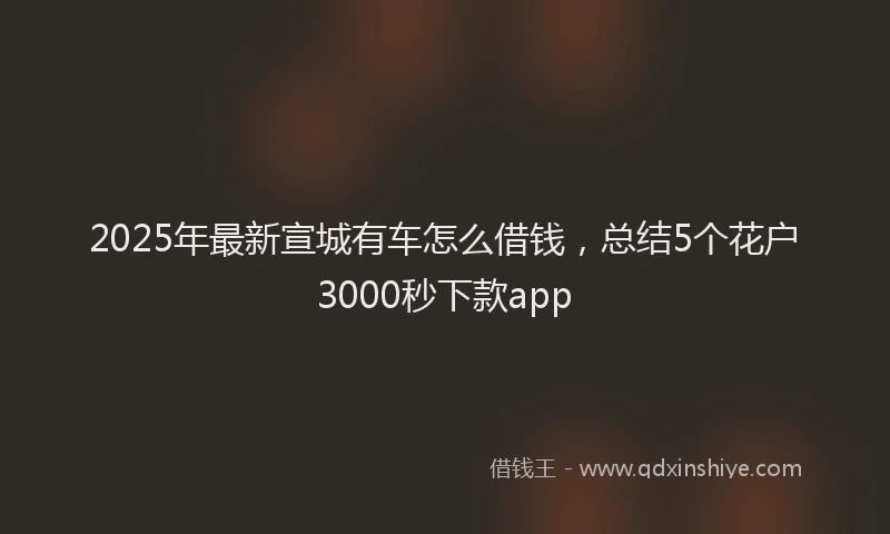 2025年最新宣城有车怎么借钱，总结5个花户3000秒下款app