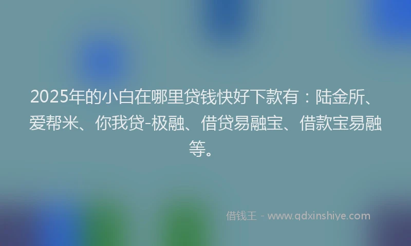 2025年的小白在哪里贷钱快好下款有：陆金所、爱帮米、你我贷-极融、借贷易融宝、借款宝易融等。