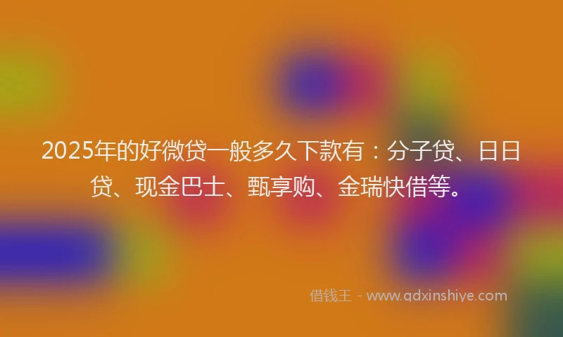 2025年的好微贷一般多久下款有：分子贷、日日贷、现金巴士、甄享购、金瑞快借等。