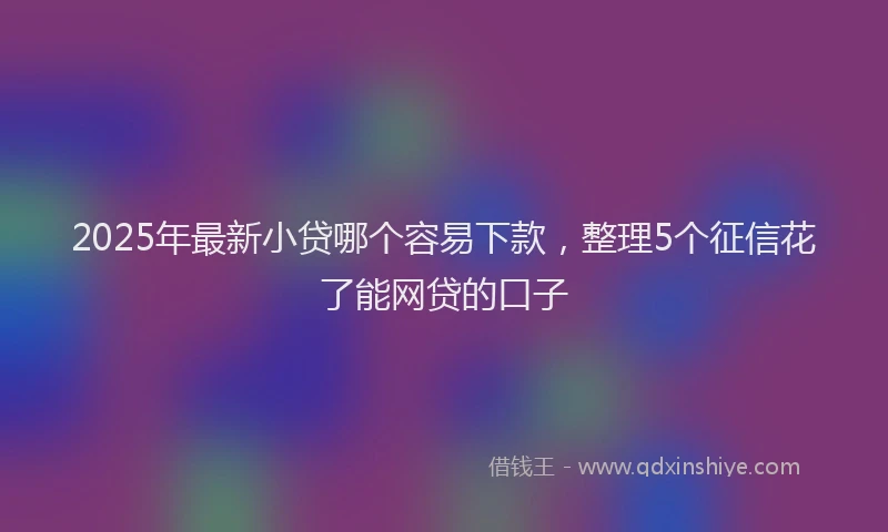 2025年最新小贷哪个容易下款，整理5个征信花了能网贷的口子