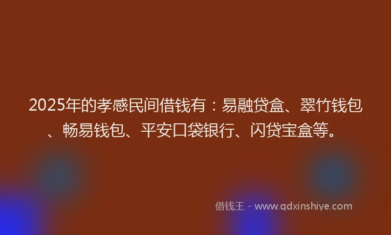 2025年的孝感民间借钱有：易融贷盒、翠竹钱包、畅易钱包、平安口袋银行、闪贷宝盒等。