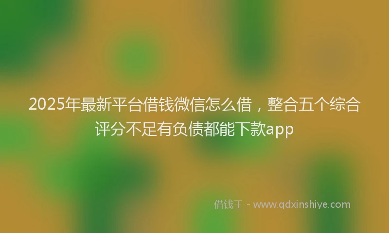 2025年最新平台借钱微信怎么借，整合五个综合评分不足有负债都能下款app