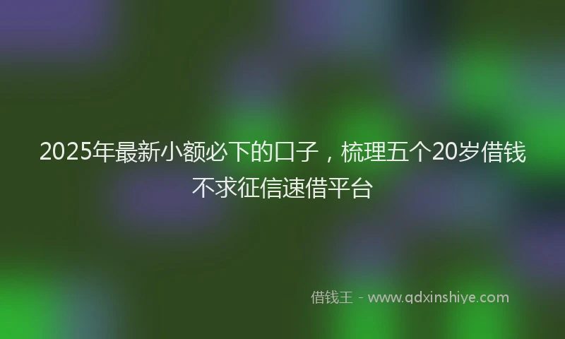 2025年最新小额必下的口子，梳理五个20岁借钱不求征信速借平台
