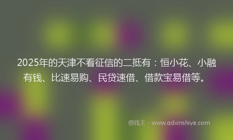 2025年的天津不看征信的二抵有：恒小花、小融有钱、比速易购、民贷速借、借款宝易借等。