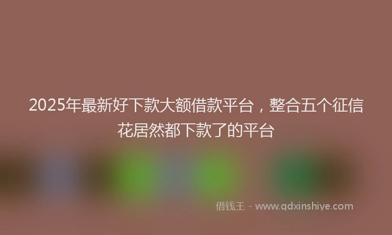 2025年最新好下款大额借款平台，整合五个征信花居然都下款了的平台