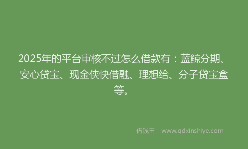2025年的平台审核不过怎么借款有：蓝鲸分期、安心贷宝、现金侠快借融、理想给、分子贷宝盒等。