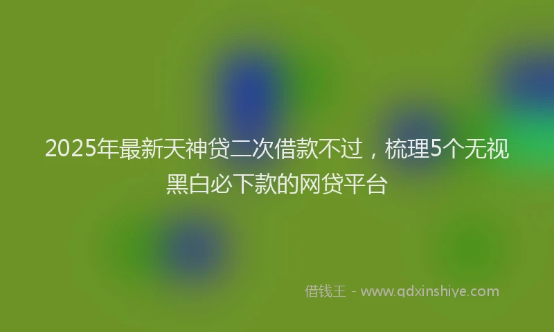 2025年最新天神贷二次借款不过，梳理5个无视黑白必下款的网贷平台