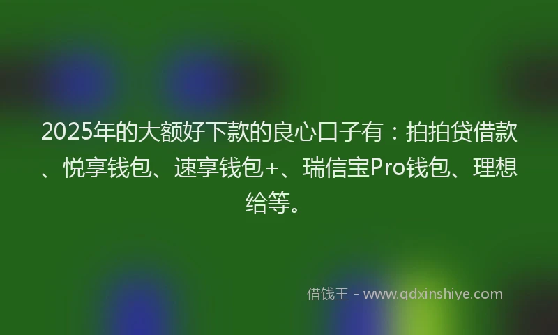 2025年的大额好下款的良心口子有：拍拍贷借款、悦享钱包、速享钱包+、瑞信宝Pro钱包、理想给等。