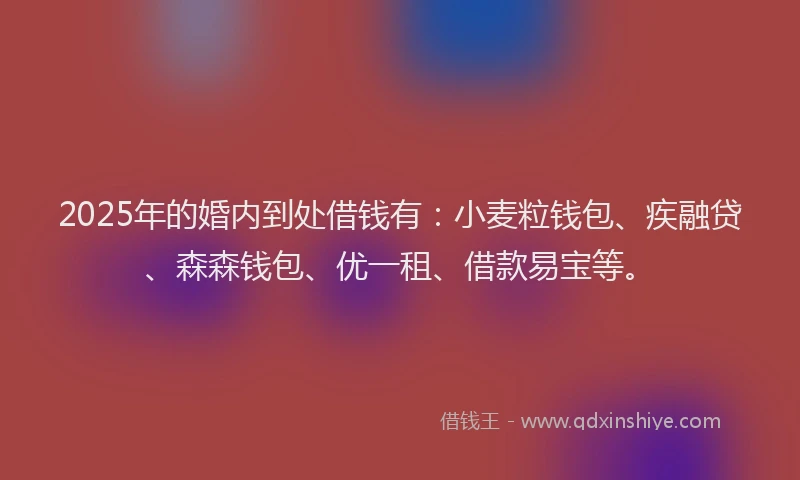 2025年的婚内到处借钱有：小麦粒钱包、疾融贷、森森钱包、优一租、借款易宝等。