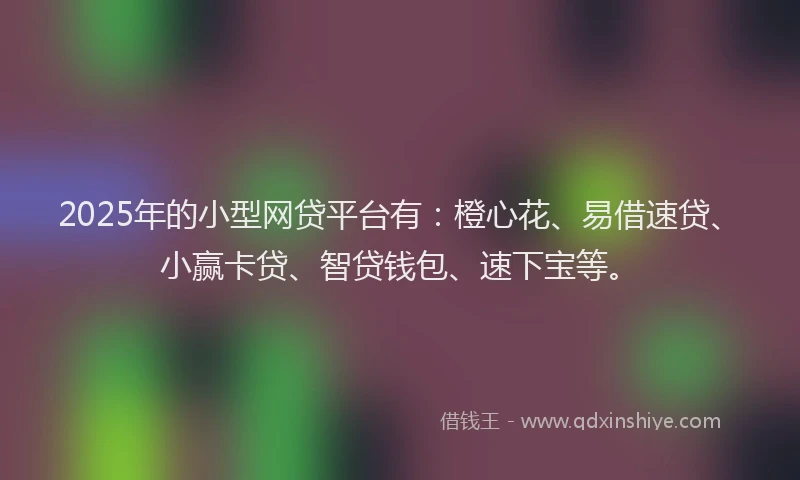 2025年的小型网贷平台有：橙心花、易借速贷、小赢卡贷、智贷钱包、速下宝等。