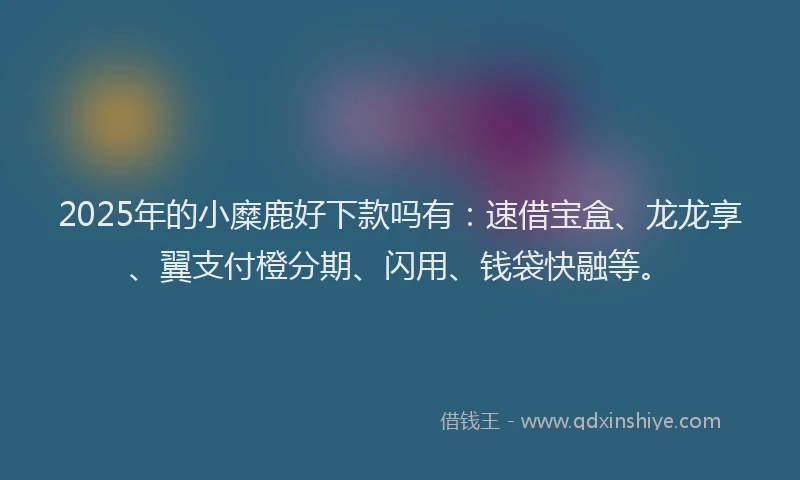 2025年的小糜鹿好下款吗有：速借宝盒、龙龙享、翼支付橙分期、闪用、钱袋快融等。