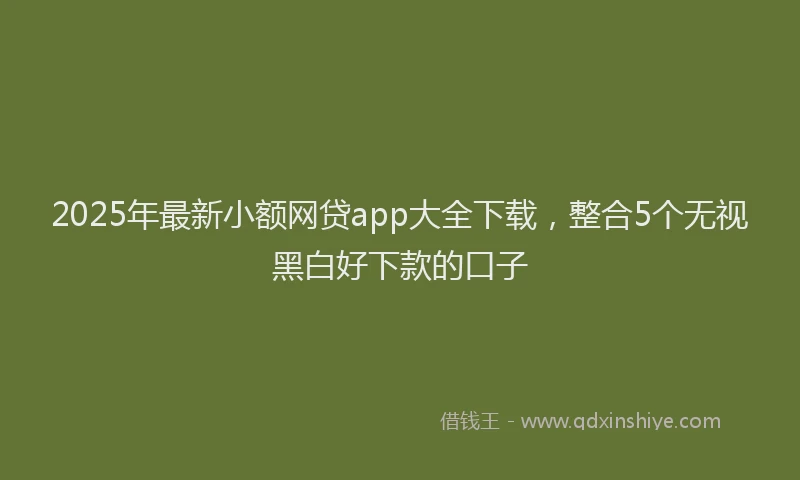 2025年最新小额网贷app大全下载，整合5个无视黑白好下款的口子