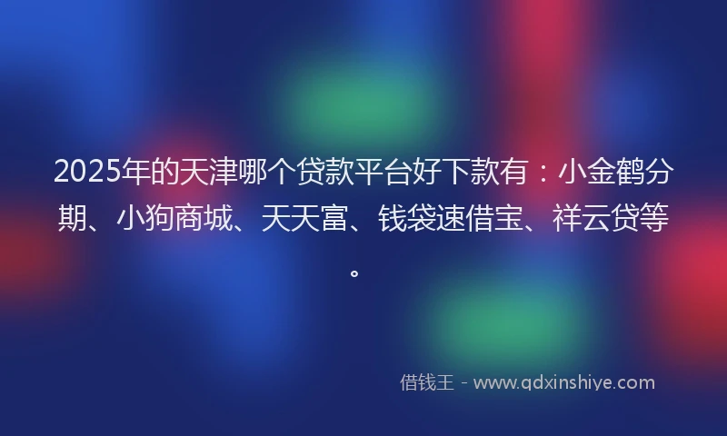 2025年的天津哪个贷款平台好下款有：小金鹤分期、小狗商城、天天富、钱袋速借宝、祥云贷等。