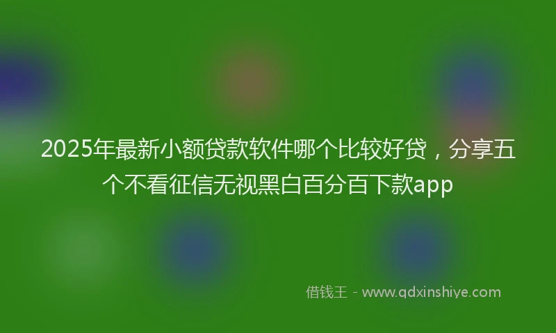 2025年最新小额贷款软件哪个比较好贷，分享五个不看征信无视黑白百分百下款app
