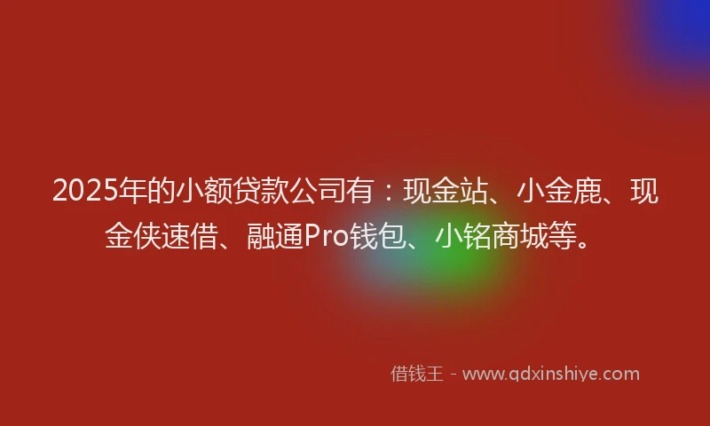 2025年的小额贷款公司有：现金站、小金鹿、现金侠速借、融通Pro钱包、小铭商城等。