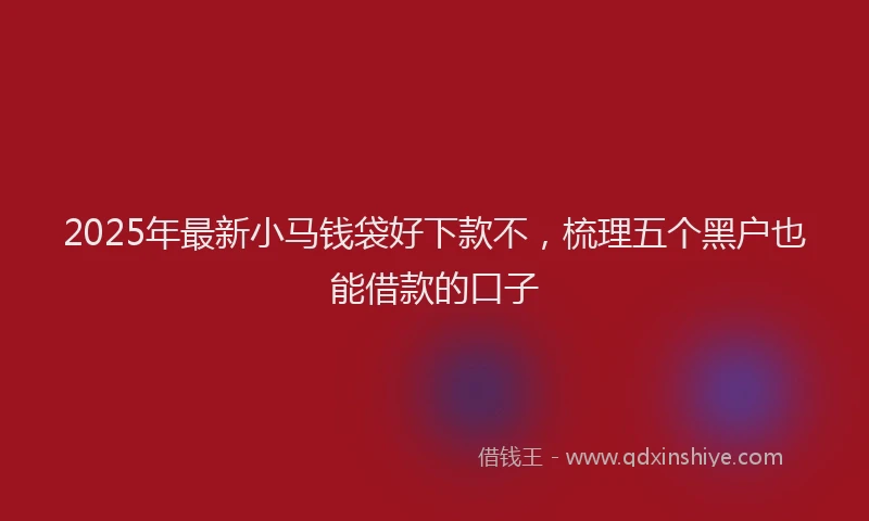 2025年最新小马钱袋好下款不，梳理五个黑户也能借款的口子