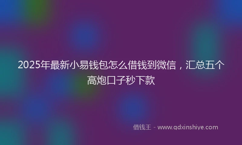 2025年最新小易钱包怎么借钱到微信，汇总五个高炮口子秒下款