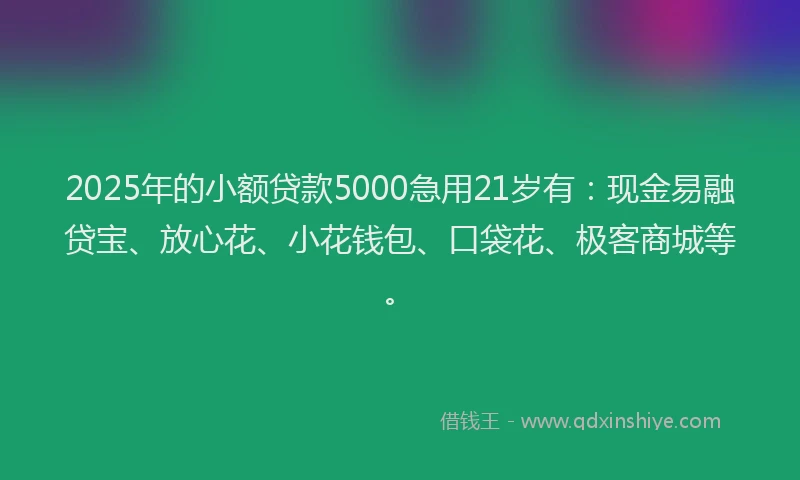 2025年的小额贷款5000急用21岁有：现金易融贷宝、放心花、小花钱包、口袋花、极客商城等。