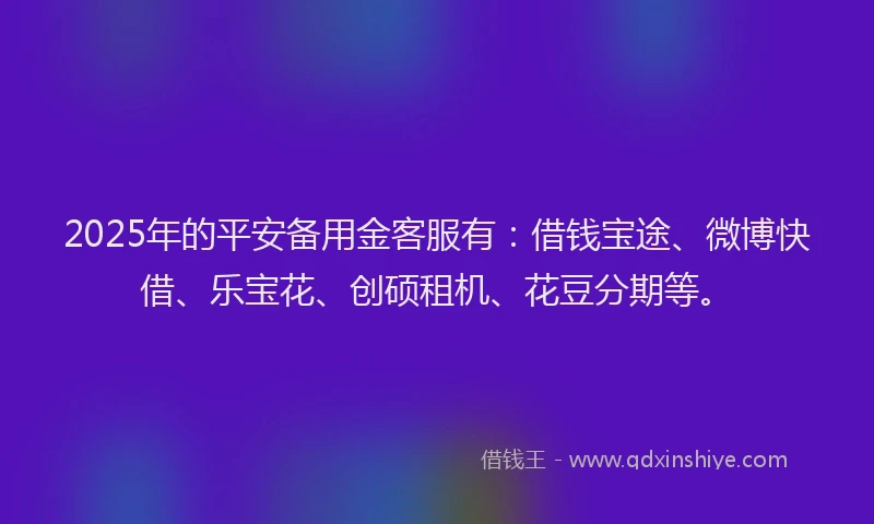 2025年的平安备用金客服有：借钱宝途、微博快借、乐宝花、创硕租机、花豆分期等。
