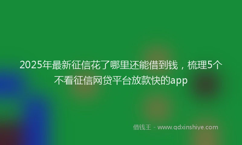 2025年最新征信花了哪里还能借到钱，梳理5个不看征信网贷平台放款快的app