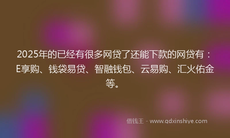 2025年的已经有很多网贷了还能下款的网贷有：E享购、钱袋易贷、智融钱包、云易购、汇火佑金等。